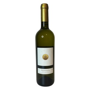 ΘΗΣΑΥΡΟΣ ΟΙΝΟΣ ΛΕΥΚΟΣ ΞΗΡΟΣ 0,750L